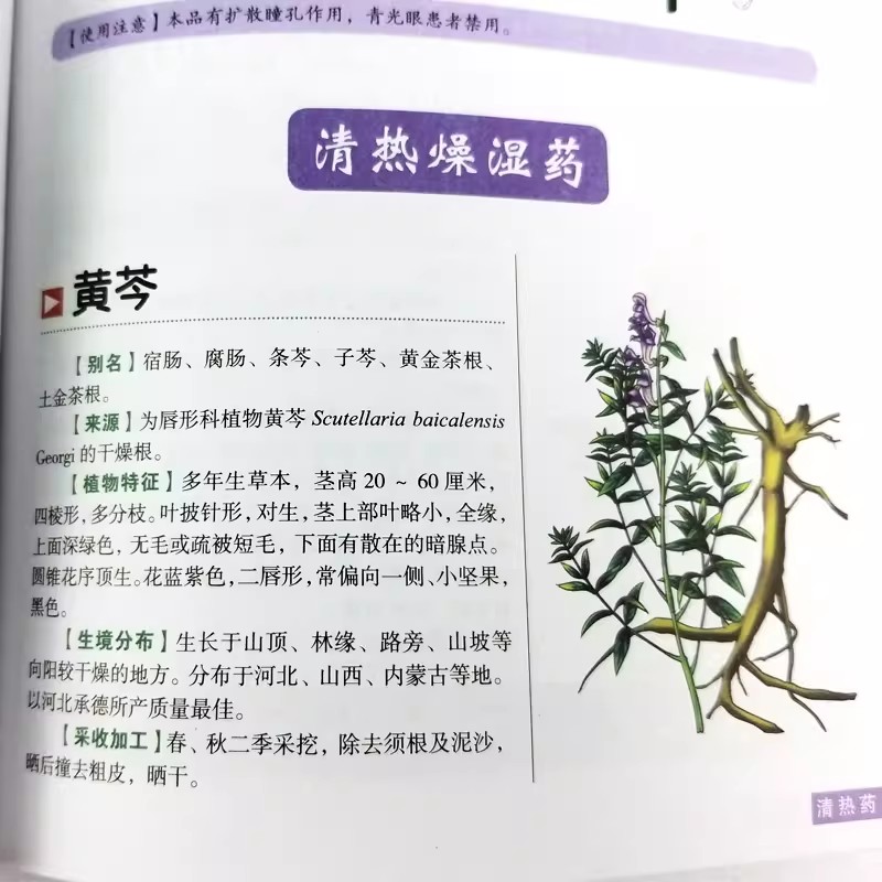 The Ancient Herbarium Holistic – обзор и цена Herbal Holistic Wellness